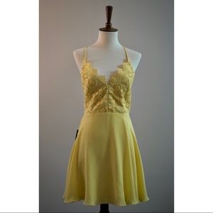 Bebe Dalia Halter Dress